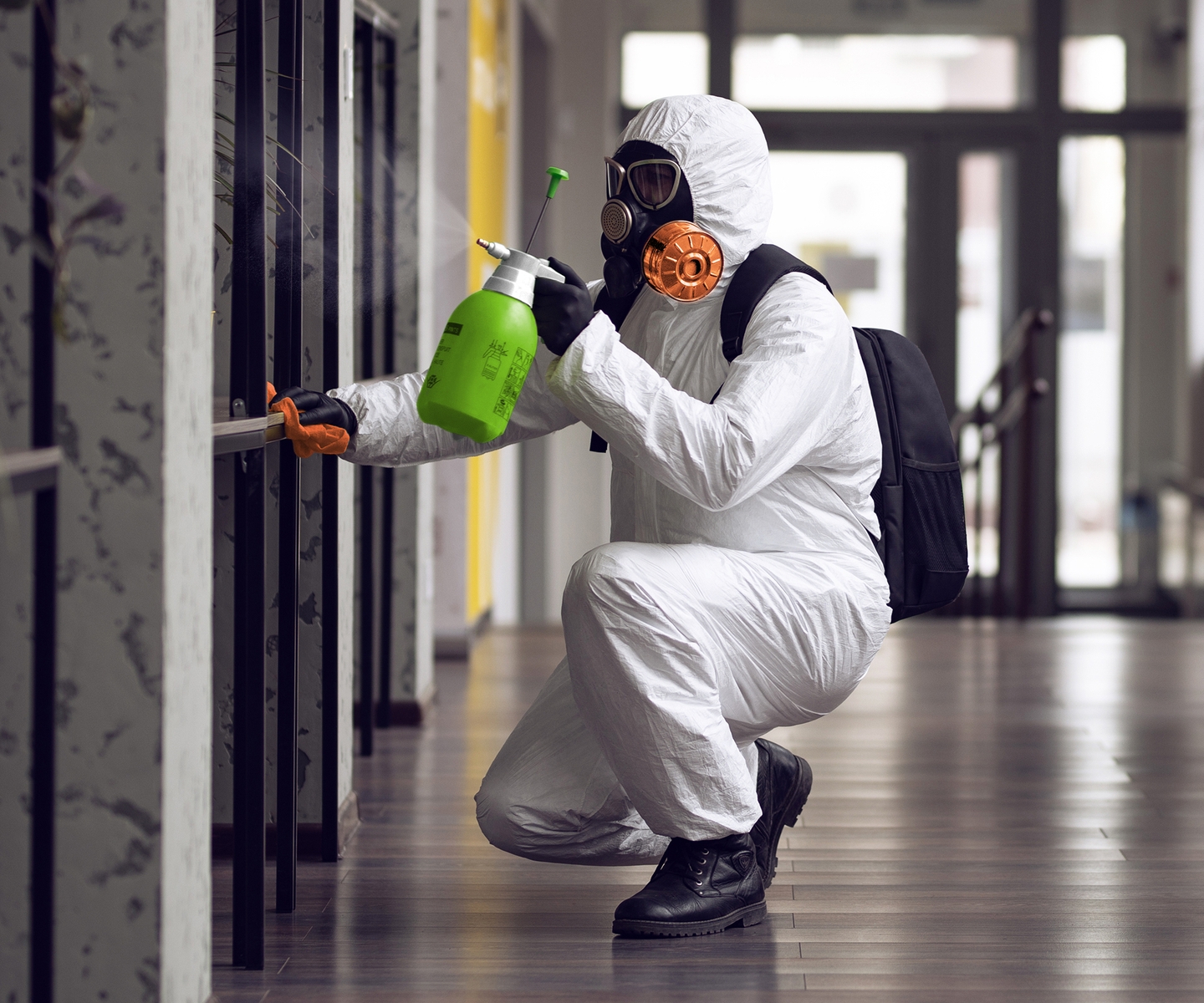 Mold Remediation Services in Tacoma